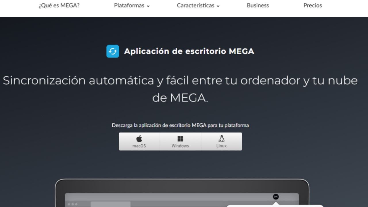 mega